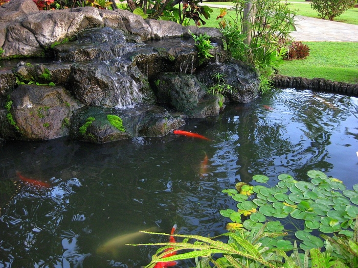 Koi Pond diggers in Midwest